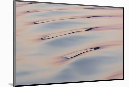 Boat wake reflecting colors at dawn-Trish Drury-Mounted Photographic Print