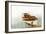 Boat with Textured Wood Look II-Ynon Mabat-Framed Art Print