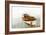 Boat with Textured Wood Look II-Ynon Mabat-Framed Art Print