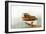 Boat with Textured Wood Look II-Ynon Mabat-Framed Art Print