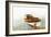 Boat with Textured Wood Look II-Ynon Mabat-Framed Art Print