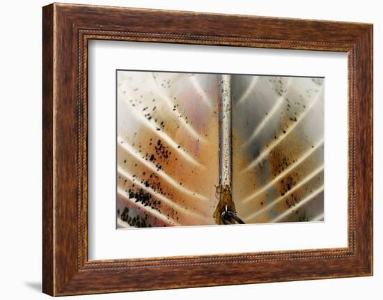 Boat-Ursula Abresch-Framed Photographic Print