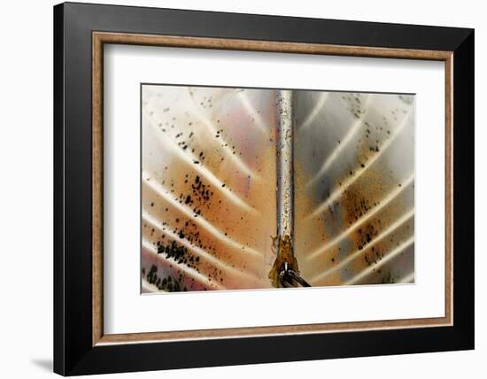 Boat-Ursula Abresch-Framed Photographic Print