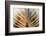 Boat-Ursula Abresch-Framed Photographic Print