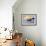 Boat-Mark Ashkenazi-Framed Giclee Print displayed on a wall