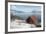 Boathouse on the Island of Kvaloya (Whale Island), Troms, Norway, Scandinavia, Europe-David Lomax-Framed Photographic Print