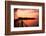 Boating at Sunset, Indonesia-James White-Framed Photographic Print