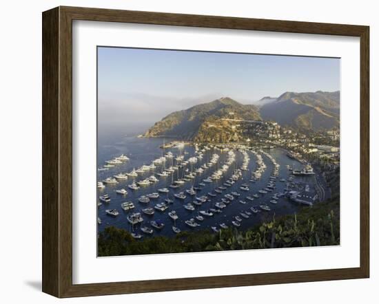 Boats Anchored in Catalina Harbor, Catalina Island, California, USA-Adam Jones-Framed Photographic Print