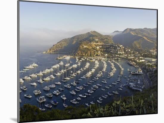 Boats Anchored in Catalina Harbor, Catalina Island, California, USA-Adam Jones-Mounted Photographic Print