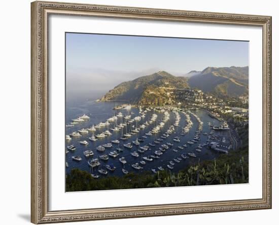 Boats Anchored in Catalina Harbor, Catalina Island, California, USA-Adam Jones-Framed Photographic Print