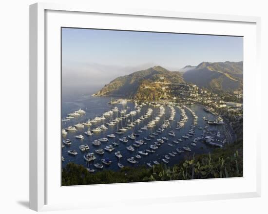 Boats Anchored in Catalina Harbor, Catalina Island, California, USA-Adam Jones-Framed Photographic Print