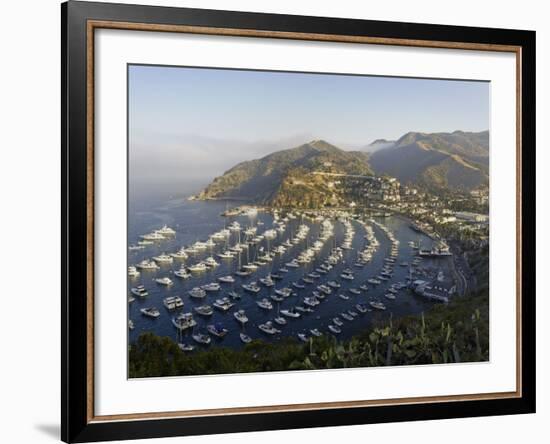 Boats Anchored in Catalina Harbor, Catalina Island, California, USA-Adam Jones-Framed Photographic Print