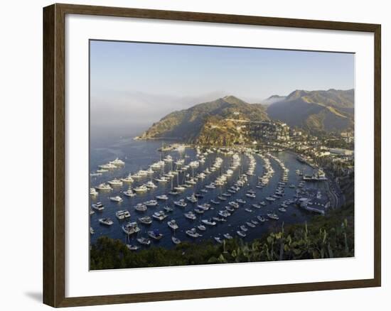 Boats Anchored in Catalina Harbor, Catalina Island, California, USA-Adam Jones-Framed Photographic Print