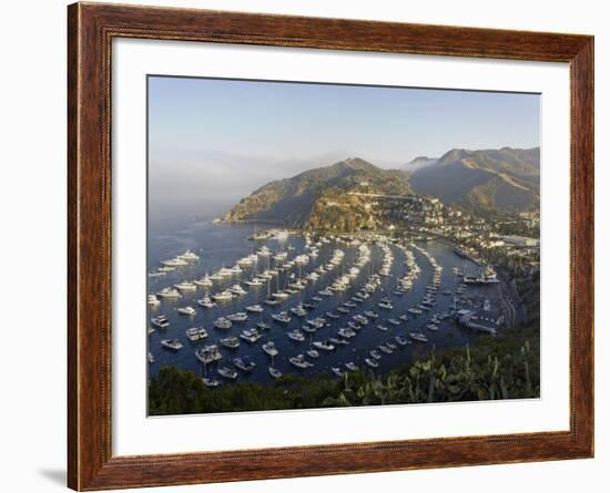 Boats Anchored in Catalina Harbor, Catalina Island, California, USA-Adam Jones-Framed Photographic Print