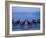 Boats and Lake, Chiemsee, Bavaria, Germany-Demetrio Carrasco-Framed Photographic Print