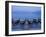 Boats and Lake, Chiemsee, Bavaria, Germany-Demetrio Carrasco-Framed Photographic Print