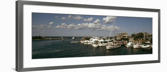 Boats at a Harbor, Martha's Vineyard, Dukes County, Massachusetts, USA-null-Framed Photographic Print