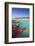 Boats at Fishermans Pier, Palm Beach, Aruba, Netherlands Antilles, Caribbean, Central America-Jane Sweeney-Framed Photographic Print