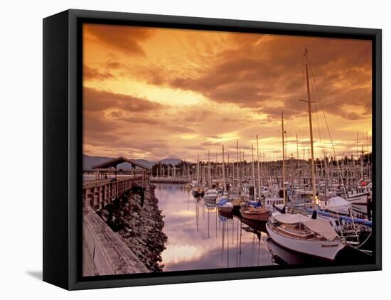 Boats at Sunset, Comox Harbor, British Columbia-Brent Bergherm-Framed Premier Image Canvas