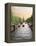 Boats Cruise Along a Canal with the Zuiderkerk Bell-Tower in the Background, Amsterdam, Netherlands-Miva Stock-Framed Premier Image Canvas