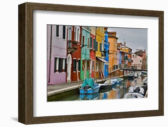 Boats Docked Along Canal with the Colorful Homes of Burano, Italy-Darrell Gulin-Framed Photographic Print