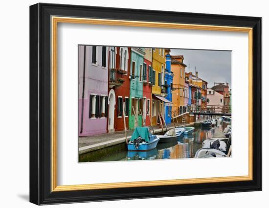 Boats Docked Along Canal with the Colorful Homes of Burano, Italy-Darrell Gulin-Framed Photographic Print