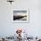 Boats Docked at the Yacht Club-the-brown-market-Framed Photographic Print displayed on a wall