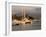 Boats Docked in Marina Vallarta Against Fog-Shrouded Mountains, Puerto Vallarta, Mexico-Nancy & Steve Ross-Framed Photographic Print