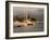 Boats Docked in Marina Vallarta Against Fog-Shrouded Mountains, Puerto Vallarta, Mexico-Nancy & Steve Ross-Framed Photographic Print