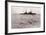 Boats from the British Battle Cruiser Inflexible Rescuing German Survivors from the Gneisenau-null-Framed Giclee Print