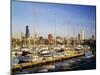 Boats in a Row at a Marina, Chicago, Illinois, USA-null-Mounted Photographic Print