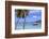 Boats in Cruz Bay, St. John, United States Virgin Islands, West Indies, Caribbean, Central America-Richard Cummins-Framed Photographic Print