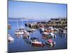 Boats in Harbour, Lyme Regis, Dorset, England, United Kingdom-J Lightfoot-Mounted Photographic Print