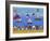 Boats in Lighthouse Bay-Gordon Barker-Framed Giclee Print