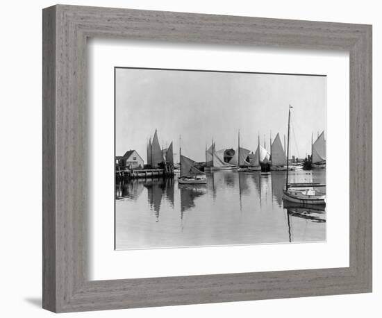 Boats in Nantucket Harbor-null-Framed Photographic Print