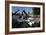 Boats in St Katherines Lock, London-Peter Thompson-Framed Photographic Print