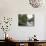 Boats in the Alleppey Backwaters, Kerala, India-null-Photographic Print displayed on a wall