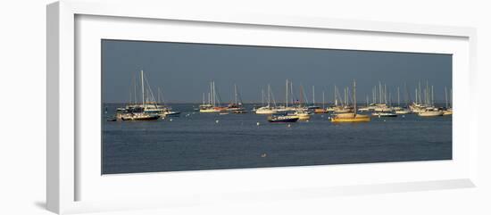 Boats in the Atlantic ocean, Rockland Harbor, Rockland, Knox County, Maine, USA-null-Framed Photographic Print