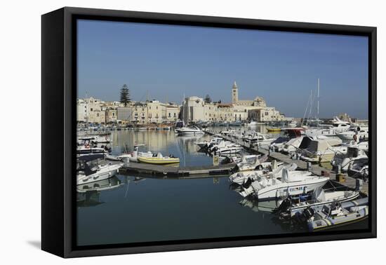 Boats in the Harbour by the Cathedral of St. Nicholas the Pilgrim (San Nicola Pellegrino) in Trani-Stuart Forster-Framed Premier Image Canvas