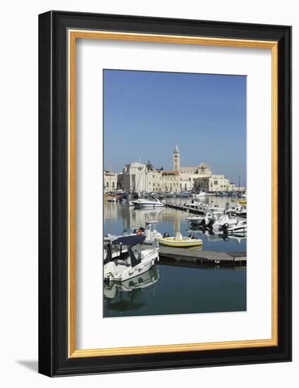 Boats in the Harbour by the Cathedral of St. Nicholas the Pilgrim (San Nicola Pellegrino) in Trani-Stuart Forster-Framed Photographic Print