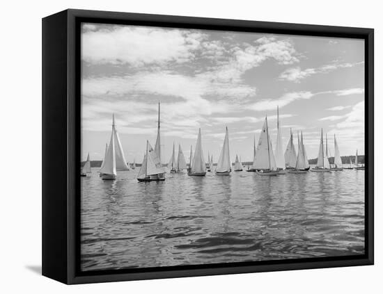 Boats Lined up for a Race on Lake Washington-Ray Krantz-Framed Premier Image Canvas