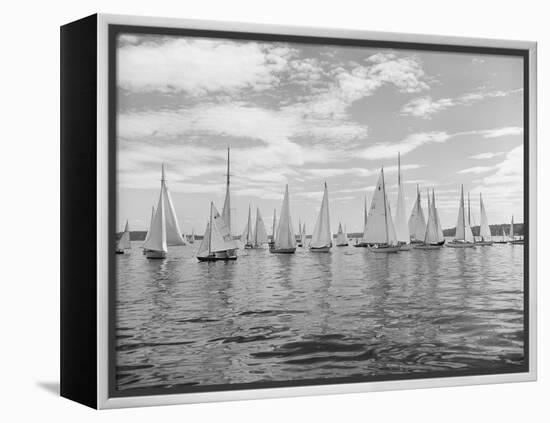 Boats Lined up for a Race on Lake Washington-Ray Krantz-Framed Premier Image Canvas