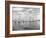 Boats Lined up for a Race on Lake Washington-Ray Krantz-Framed Photographic Print