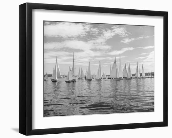 Boats Lined up for a Race on Lake Washington-Ray Krantz-Framed Photographic Print