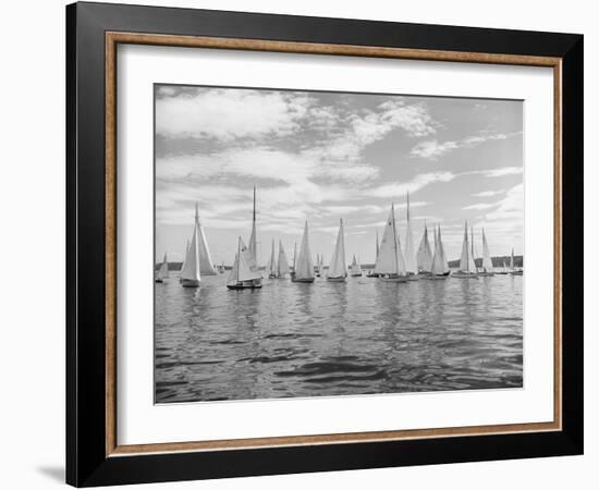 Boats Lined up for a Race on Lake Washington-Ray Krantz-Framed Photographic Print