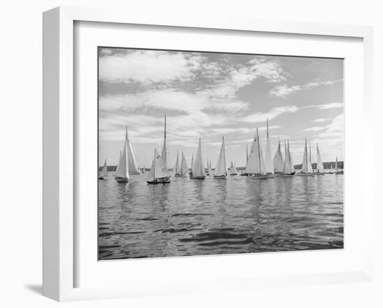 Boats Lined up for a Race on Lake Washington-Ray Krantz-Framed Photographic Print