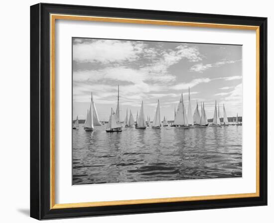 Boats Lined up for a Race on Lake Washington-Ray Krantz-Framed Photographic Print