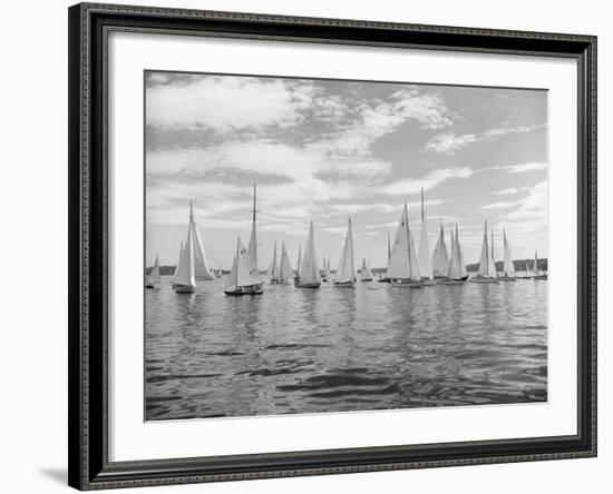 Boats Lined up for a Race on Lake Washington-Ray Krantz-Framed Photographic Print