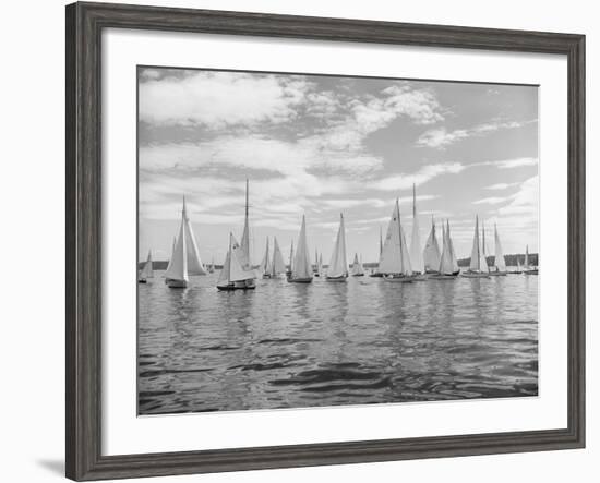 Boats Lined up for a Race on Lake Washington-Ray Krantz-Framed Photographic Print