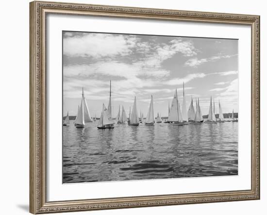 Boats Lined up for a Race on Lake Washington-Ray Krantz-Framed Photographic Print